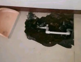 依安卫生间测漏水多少钱